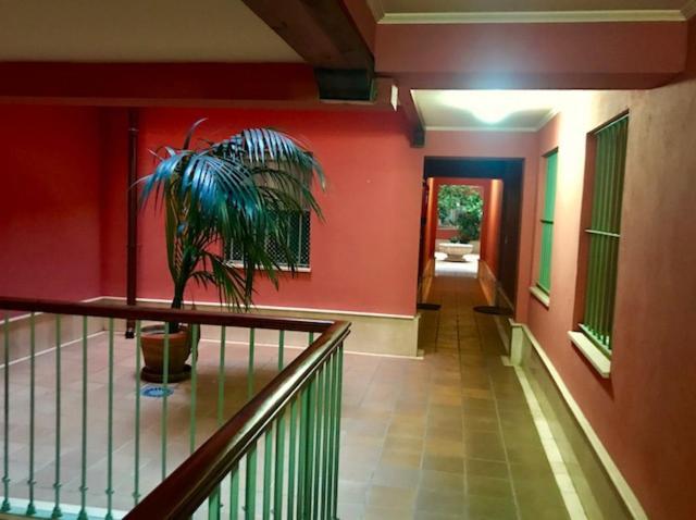 Apartamento Centro-casco Antiguo C/sauceda-san Eloy *